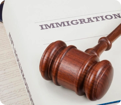Legel Immigration Image